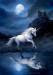 Moonlight Unicorn by Anne Stokes