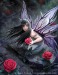 Rose Fairy_by Anne Stokes